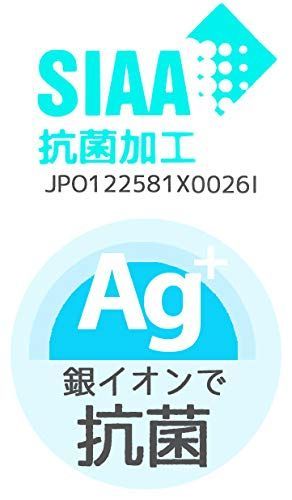 スケーター(Skater) 食洗機対応 ランチ皿 プレート 銀イオン Ag+ 抗菌 ポケモン ポケットモンスター 日本製 XP17AG