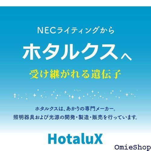 NEC 40形 電球形蛍光灯 コスモボール・ミニ E17 口金 昼光色
