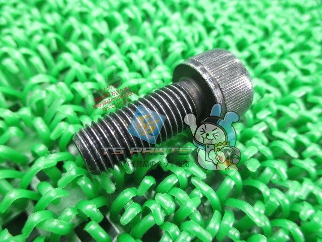 NinjaZX-6R エンジンガードパッドボルト 在庫有 即納 カワサキ