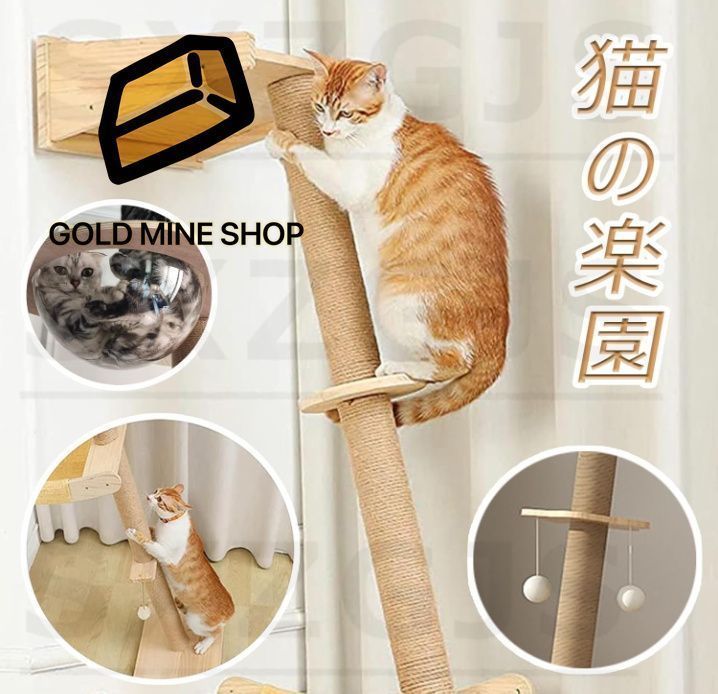 スリム 多頭飼い