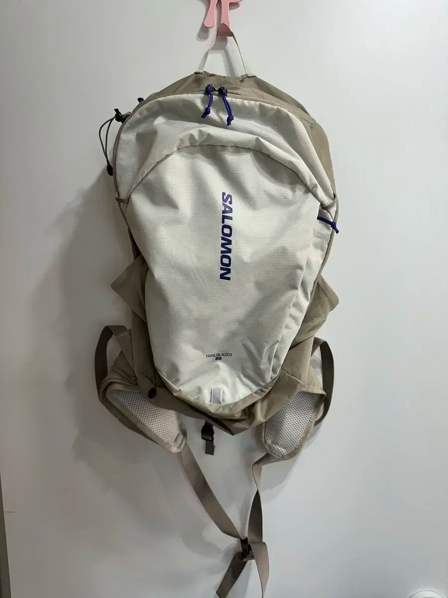 Salomon サロモン 20 トレイルブレイザー バックパック