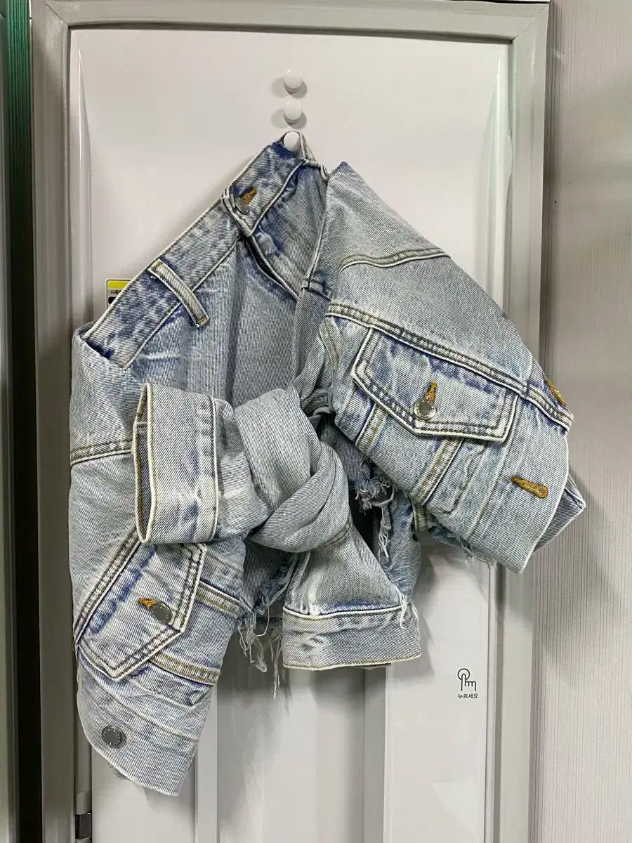 アレキサンダーワング