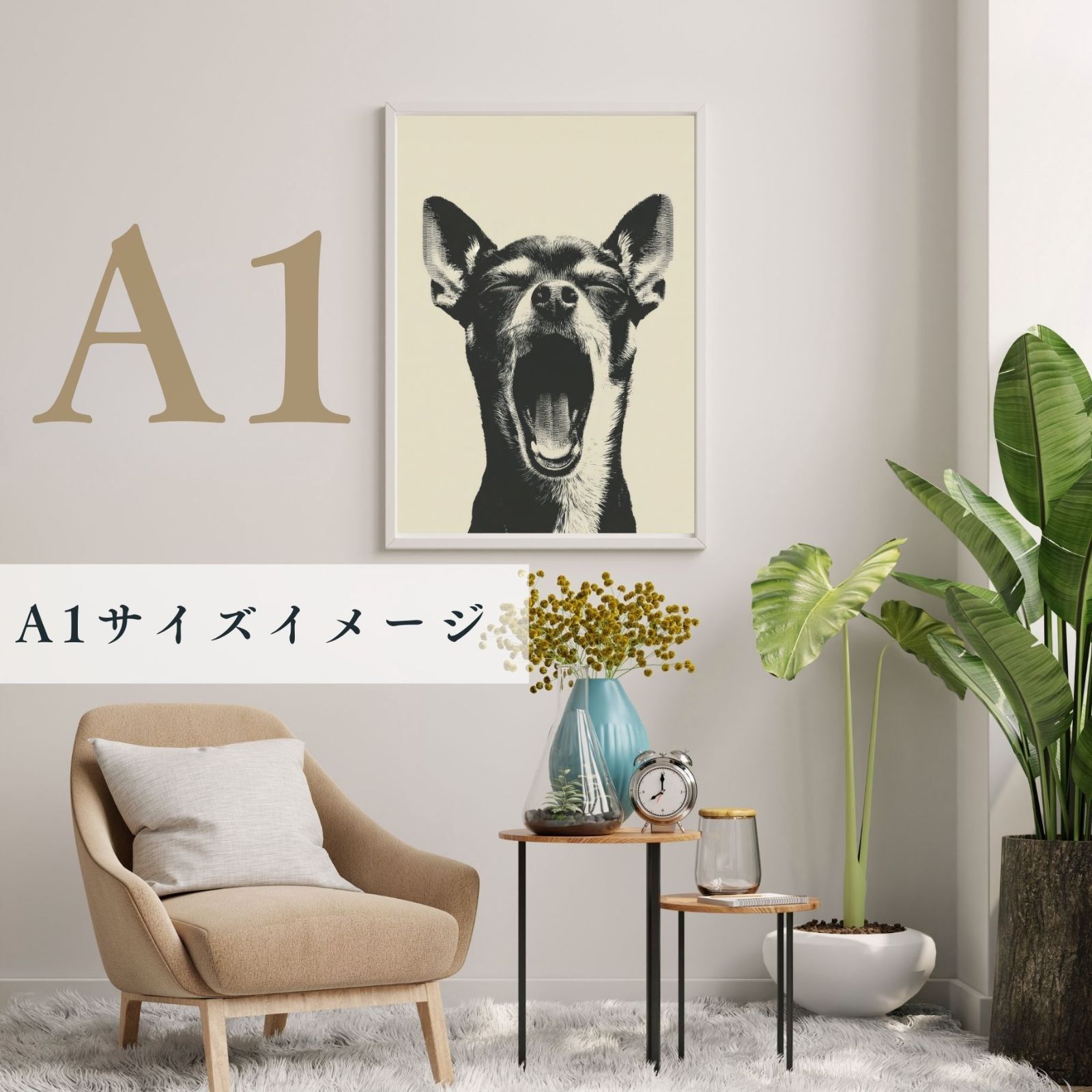 チワワ犬 白黒