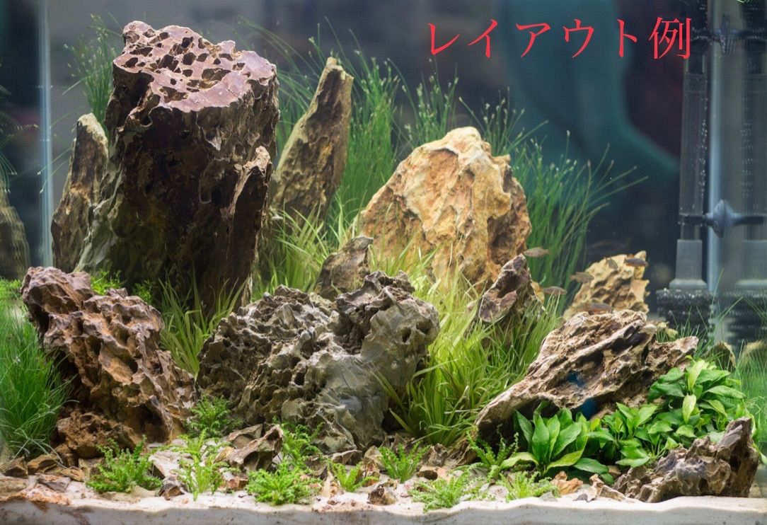 日本最大級の品揃え おまかせ 黄虎石 気孔石 サイズ色々セット kead.al