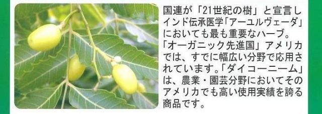5 000円追加送料