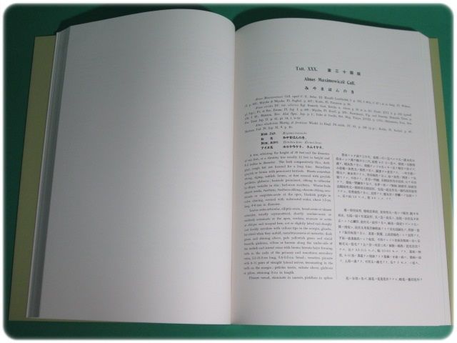 美品/覆刻 北海道主要樹木図譜 宮部金吾 工藤祐瞬 北大/aa3912 美品&frasl;覆刻 北海道主要樹木図譜 宮部金吾 工藤祐瞬 北大&frasl;aa3912