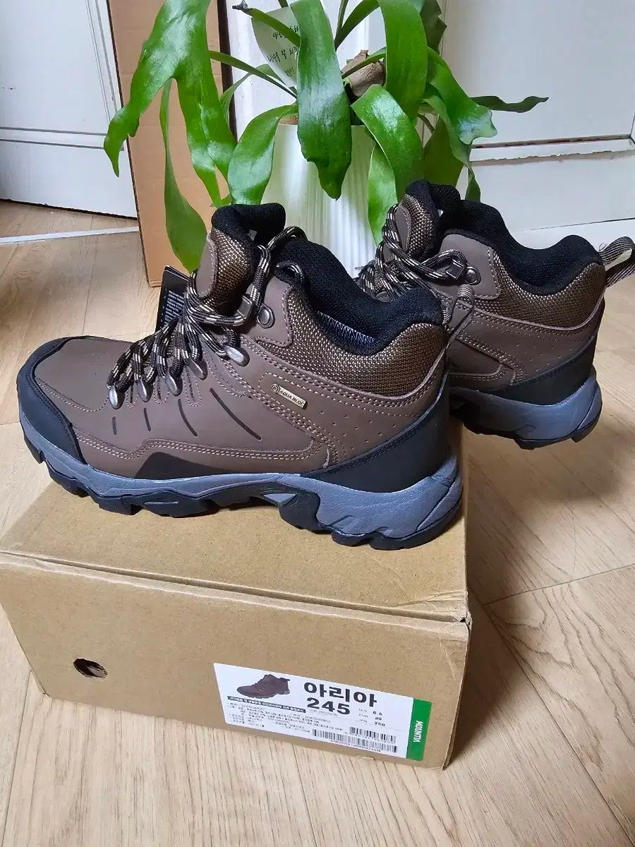 マウンティア 四季 ユニセックス 登山靴 245 OLIVEOS_COM_TR