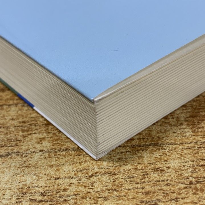 △01)【1点限り!】新出資法/条文解釈と判例解説/齋藤正和/青林書院