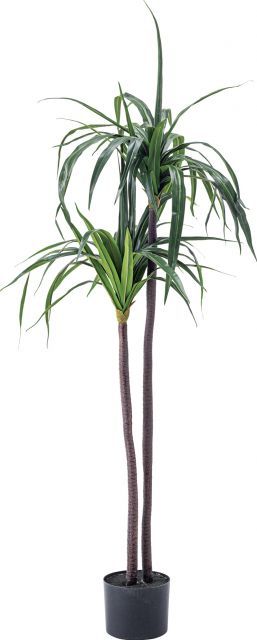 神聖幾何学アート【ストーンオブライフ～赤】 神聖幾何学アート【ストーンオブライフ～赤】 Amazon｜A'sTool 神聖