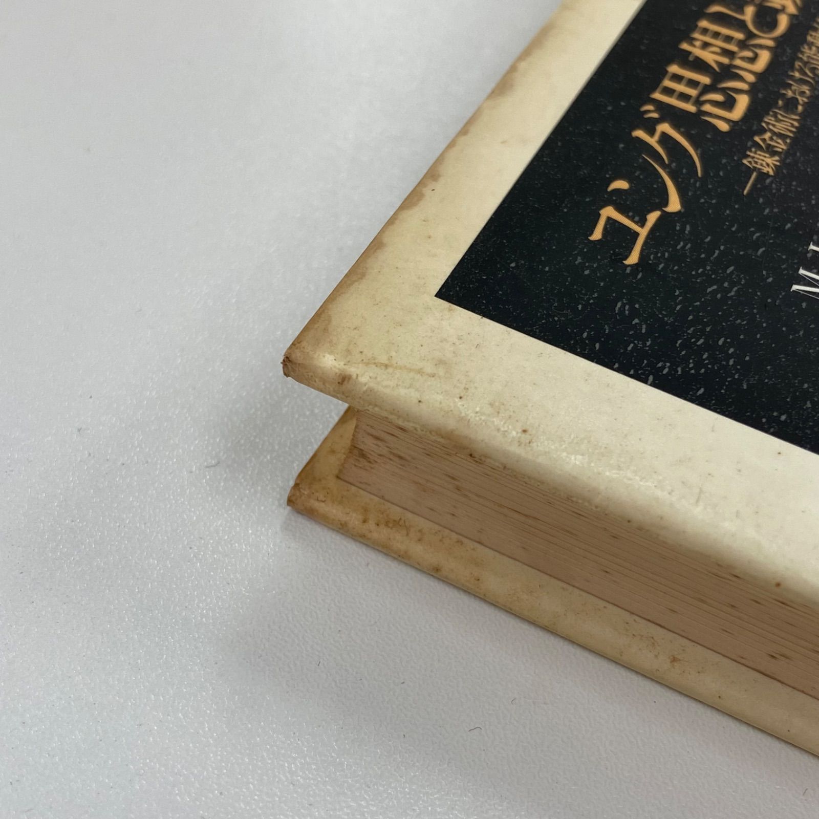 ユング思想と錬金術―錬金術における能動的想像 ユング思想と錬金術 : 錬金術における能動的想像(M-L.フォン