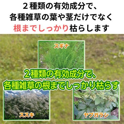 6個セット 住友化学園芸