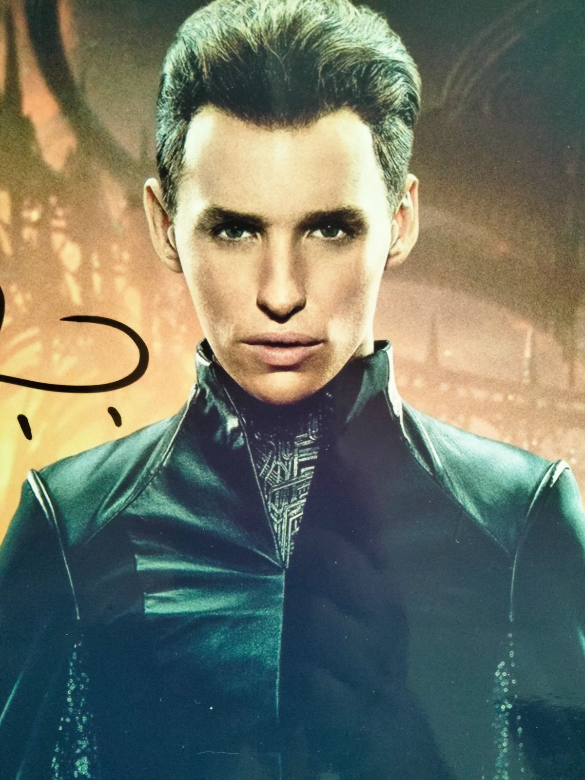 エディ・レッドメイン直筆サイン入り2Lサイズ写真…EddieRedmayne 