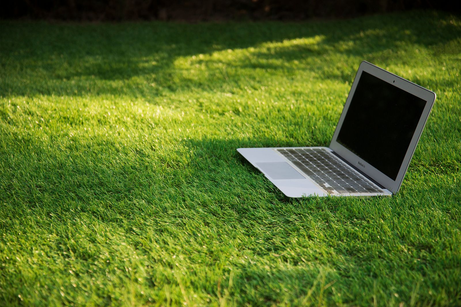 ふかふか 高品質