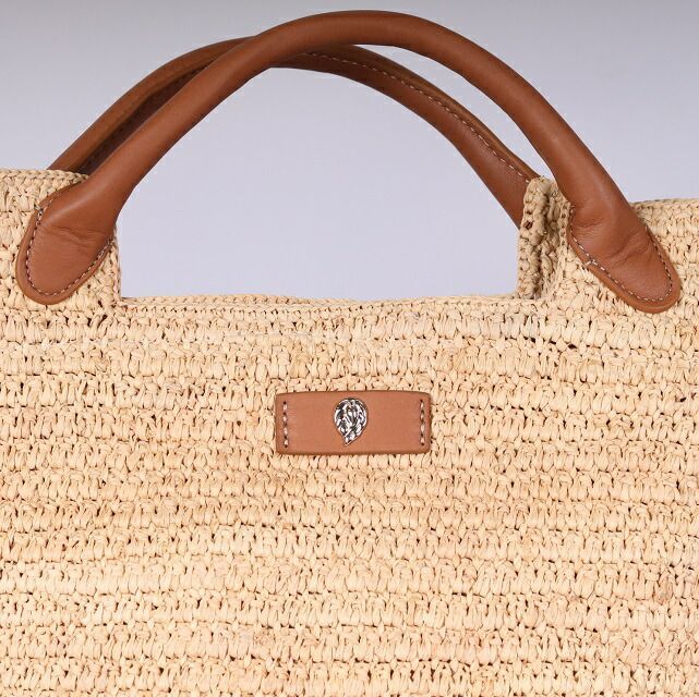 オリーブの木 ピクアル 7号 約90cm NO.553 人気品種 一点物 オリーブの