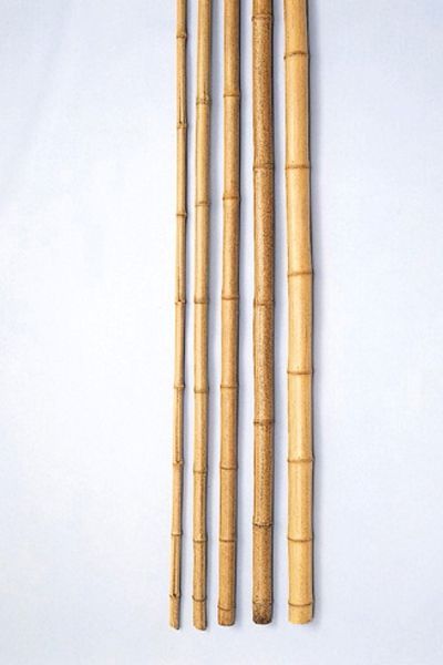 錆竹(淡竹)長さ4000ミリ　径45~51ミリ