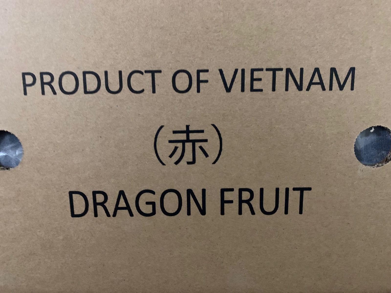 ドラゴンフルーツ（レッド） 20玉Set /1箱 紅心 火龍果 thanh long 火龙果