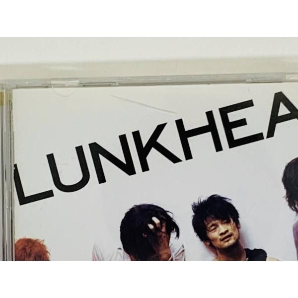 lunkhead ハイ ライト ストア