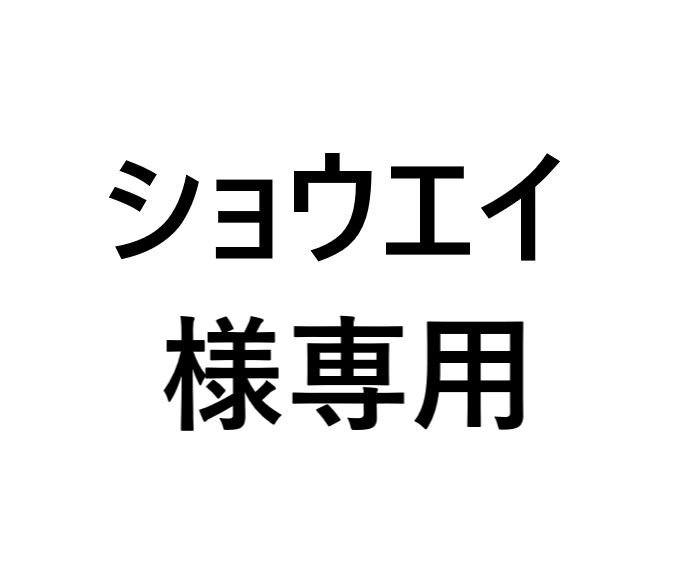 ショウエイ様専用　アウトレット品特価