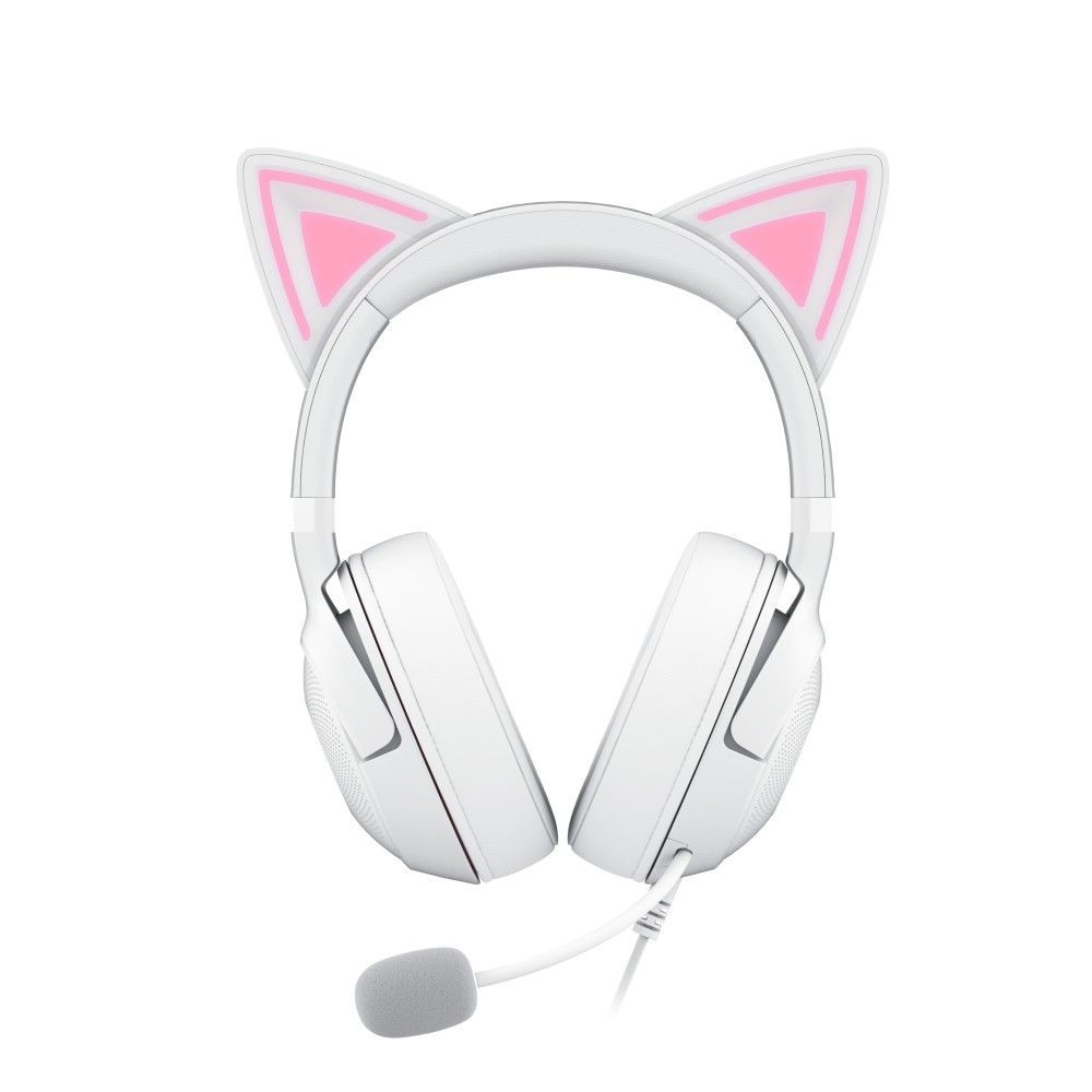 Kitty