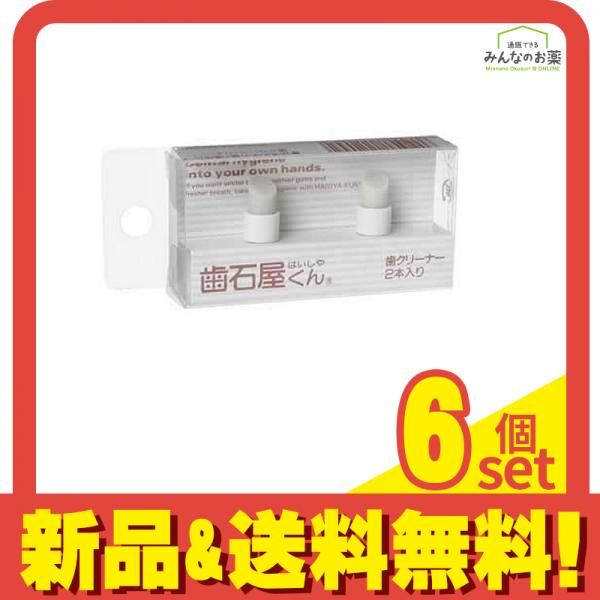 歯石屋くん 歯クリーナー スペア 2本 6個セット まとめ売り