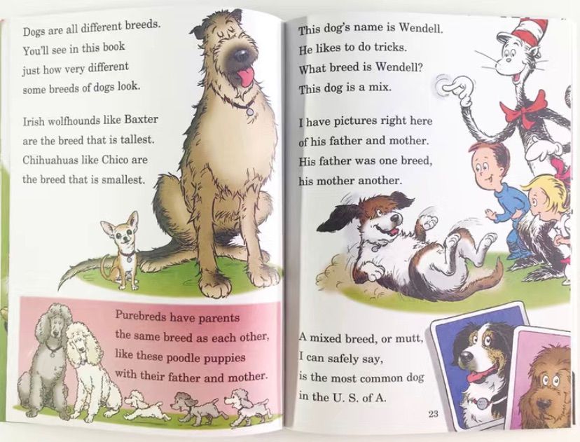 Dr.Seuss 人気英語絵本　33冊　全冊音源付　マイヤペン対応 Dr.seuss 33冊 英語絵本 マイヤペン対応 maiyapen - メルカリ