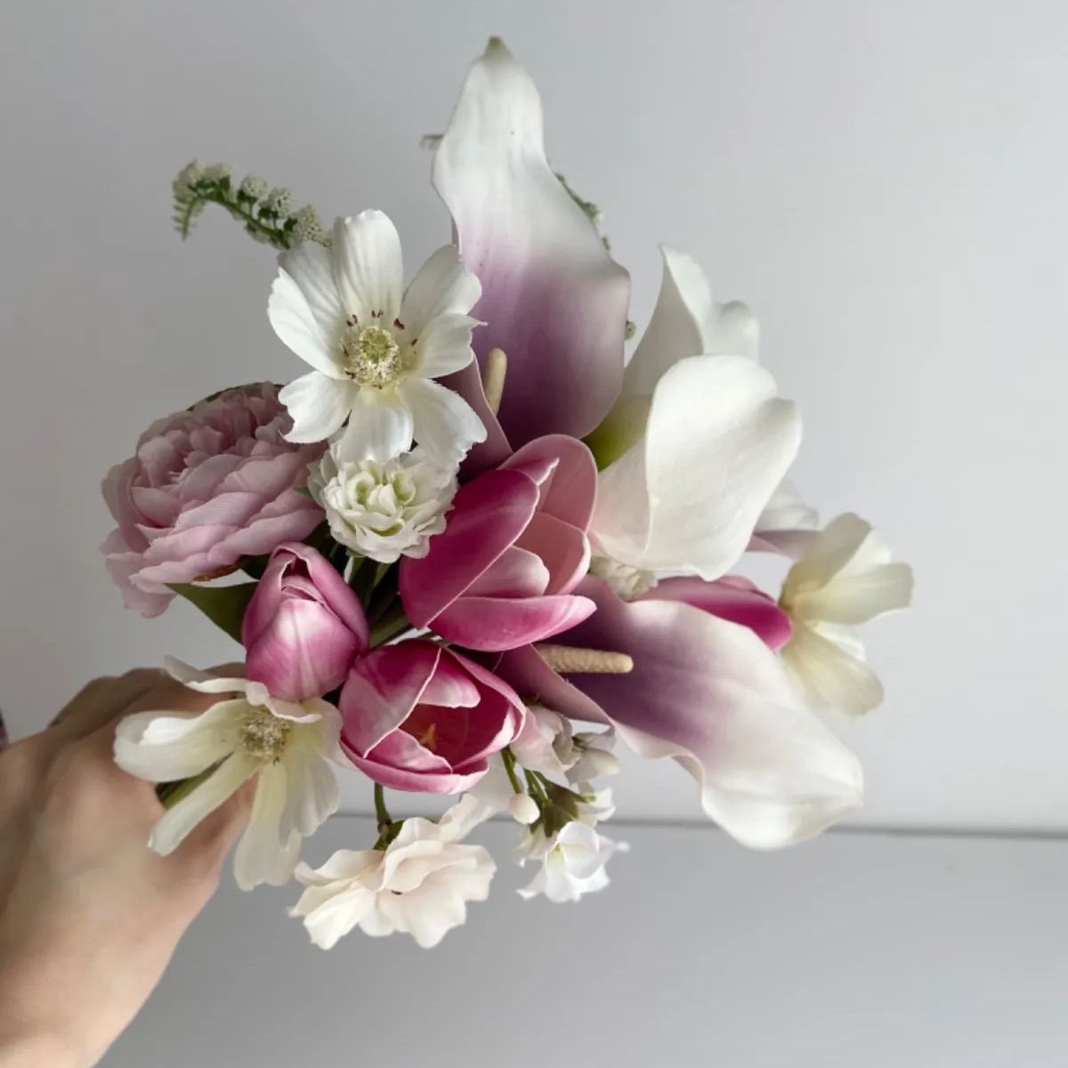 クリスマスローズ 開花実績株 DDレッド クリスマスローズ 開花実績株