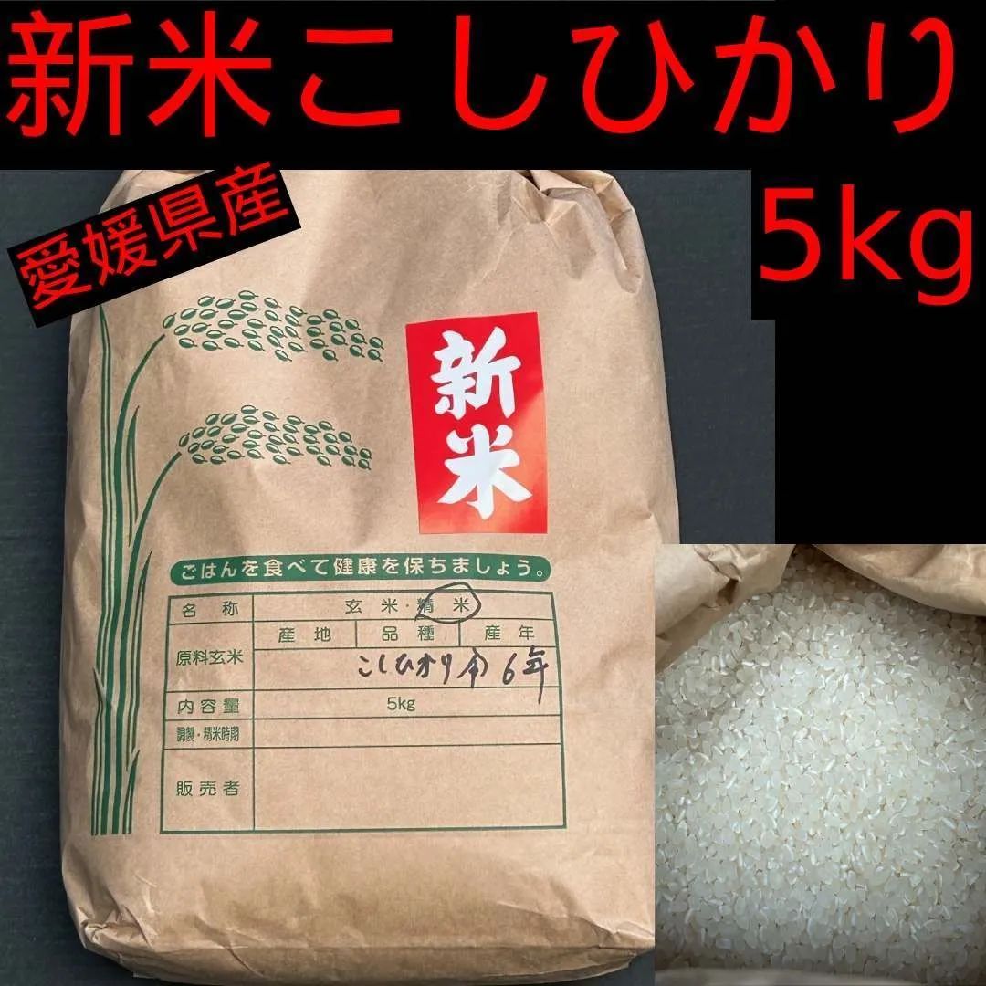 愛媛県産】新米 こしひかり ５ｋｇ 数量限定 - メルカリ