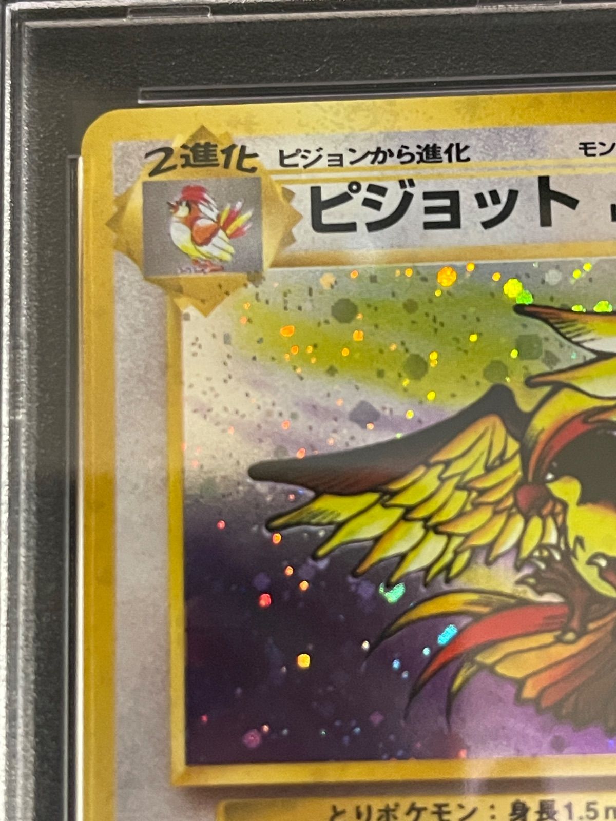 PSA10 ピジョット 旧裏 ポケモンジャングル 18 1997 PSA10 ピジョット 旧裏 ポケモンジャングル 18 1997 - メルカリ