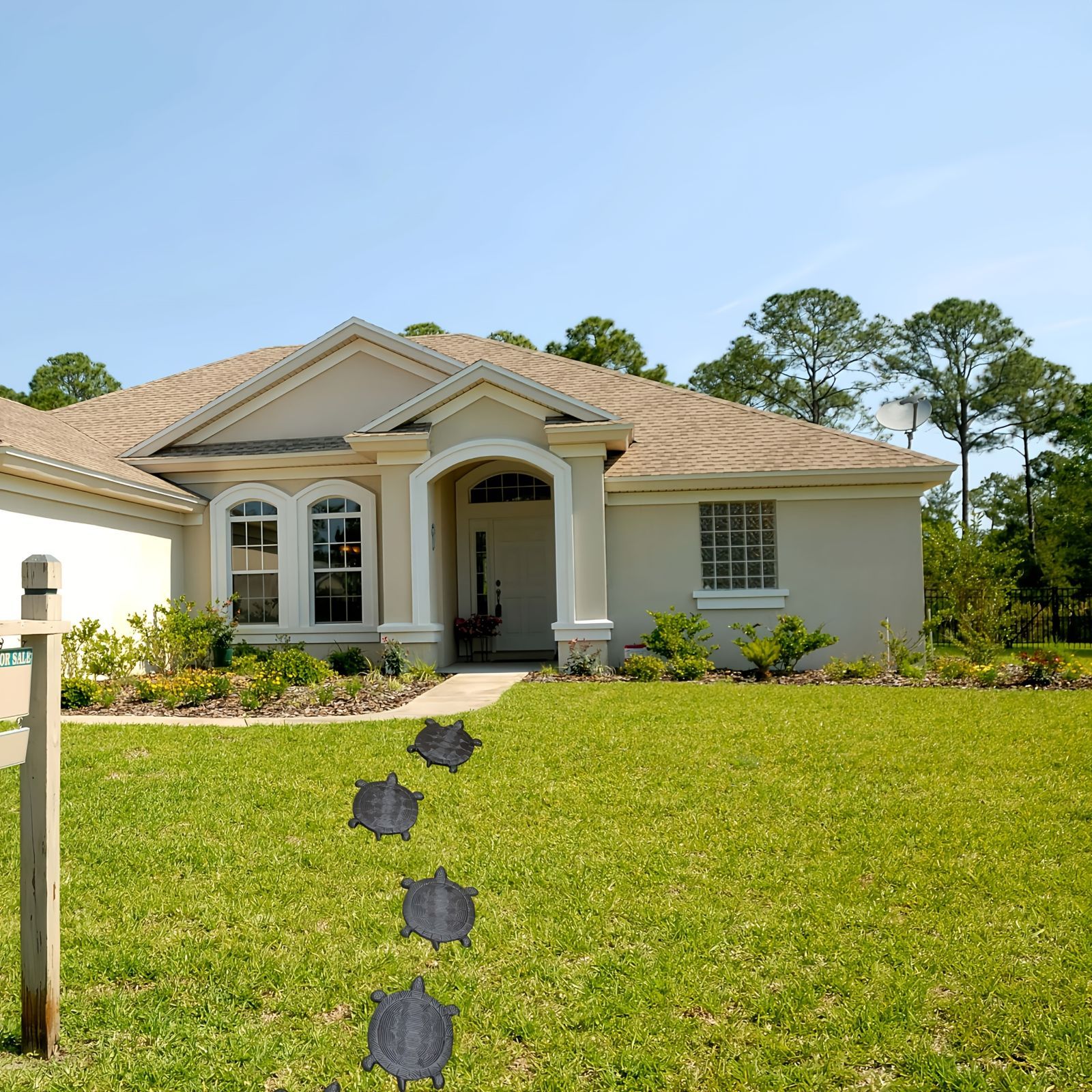 海亀ウミガメ 動物