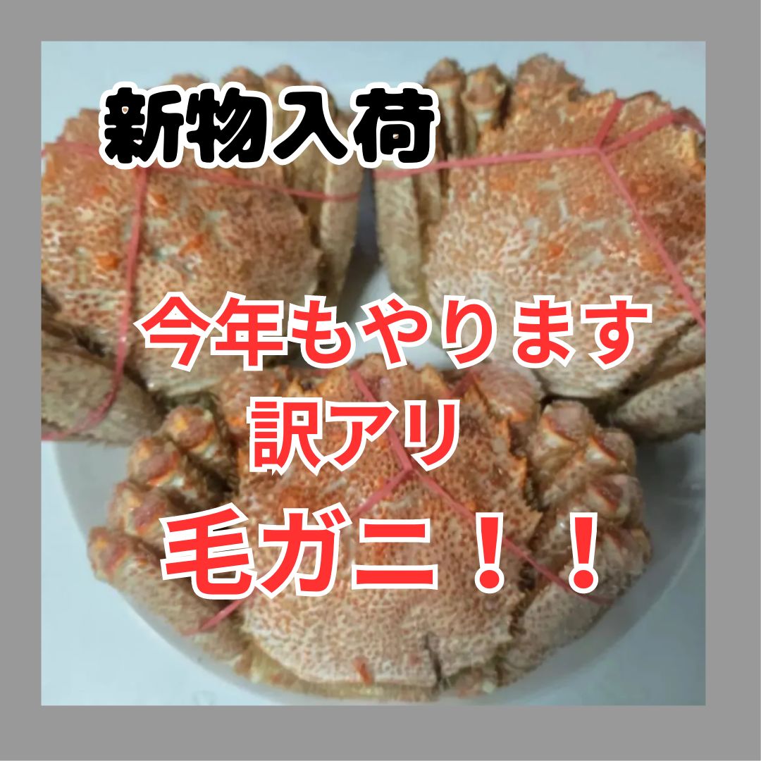 昨年も大好評 訳アリ北海道産 毛蟹 約１ ５kg袋
