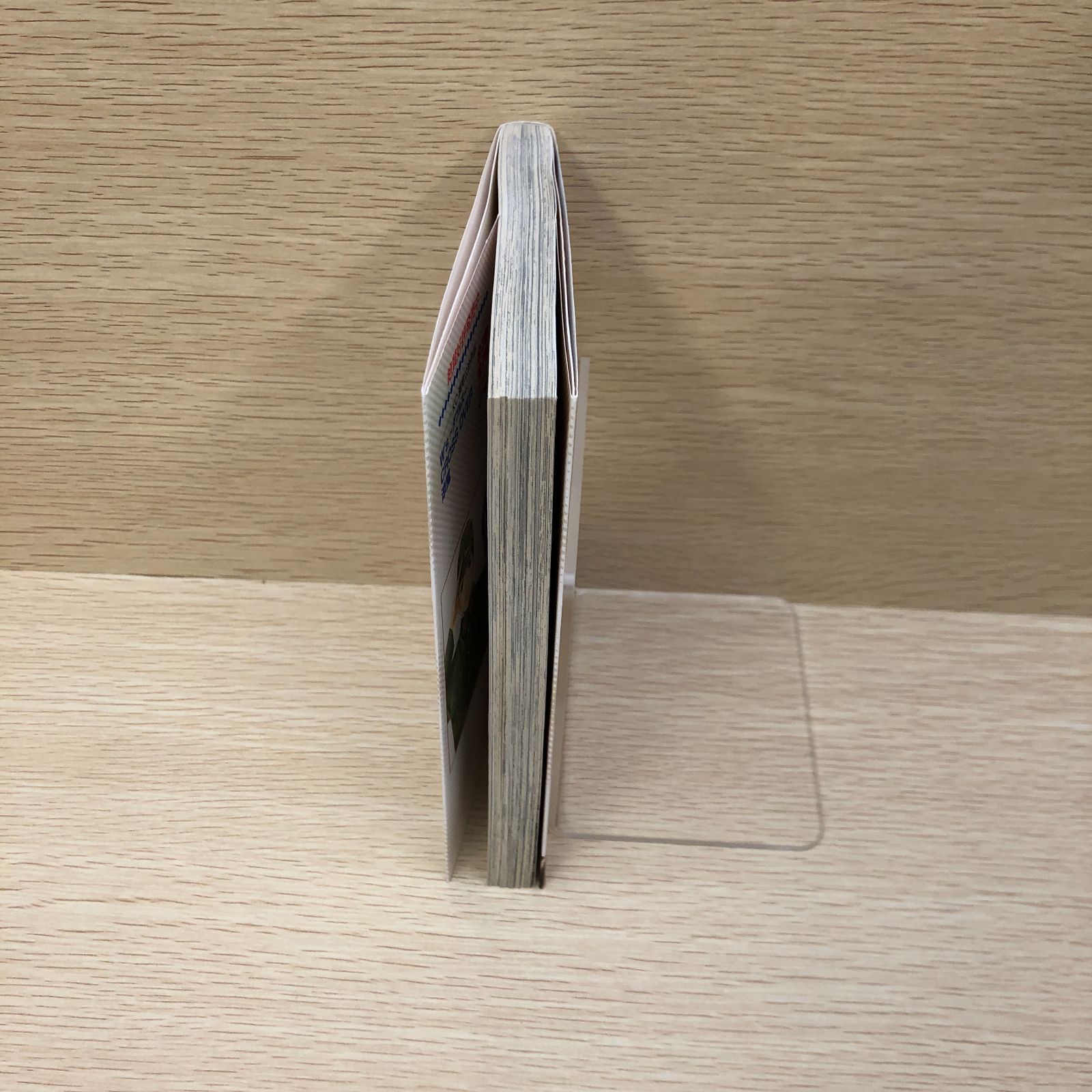 【レア・美品】瀬尾公治短編集『the お風呂回』 瀬尾公治画集-PRINCESS MEMORIES- | マッグガーデン