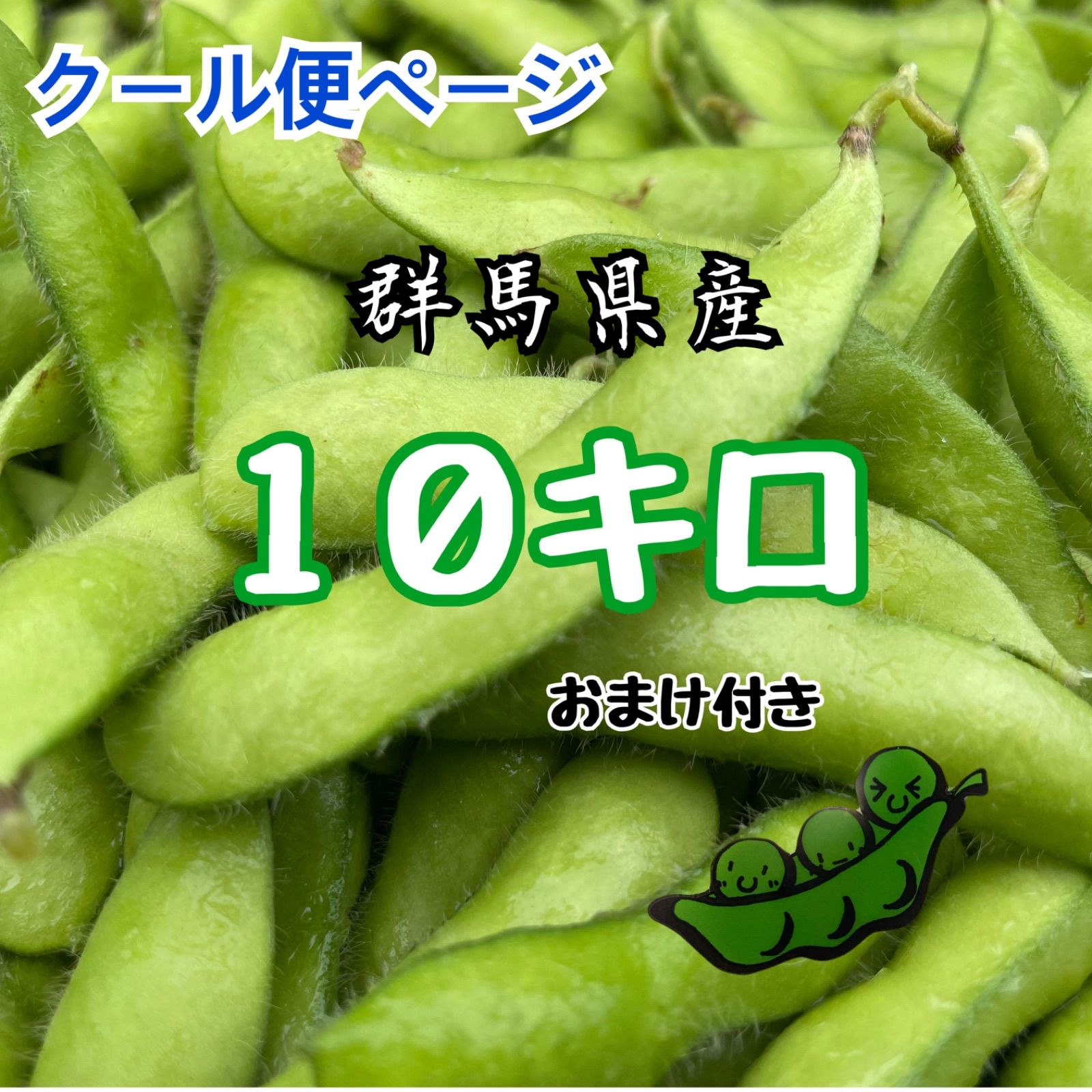 枝豆 豆王 10kg 群馬県産 クール便ページ 産地直送