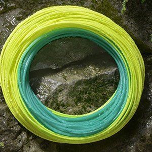 ロイヤルWulff Ambush中和剤Fly Line