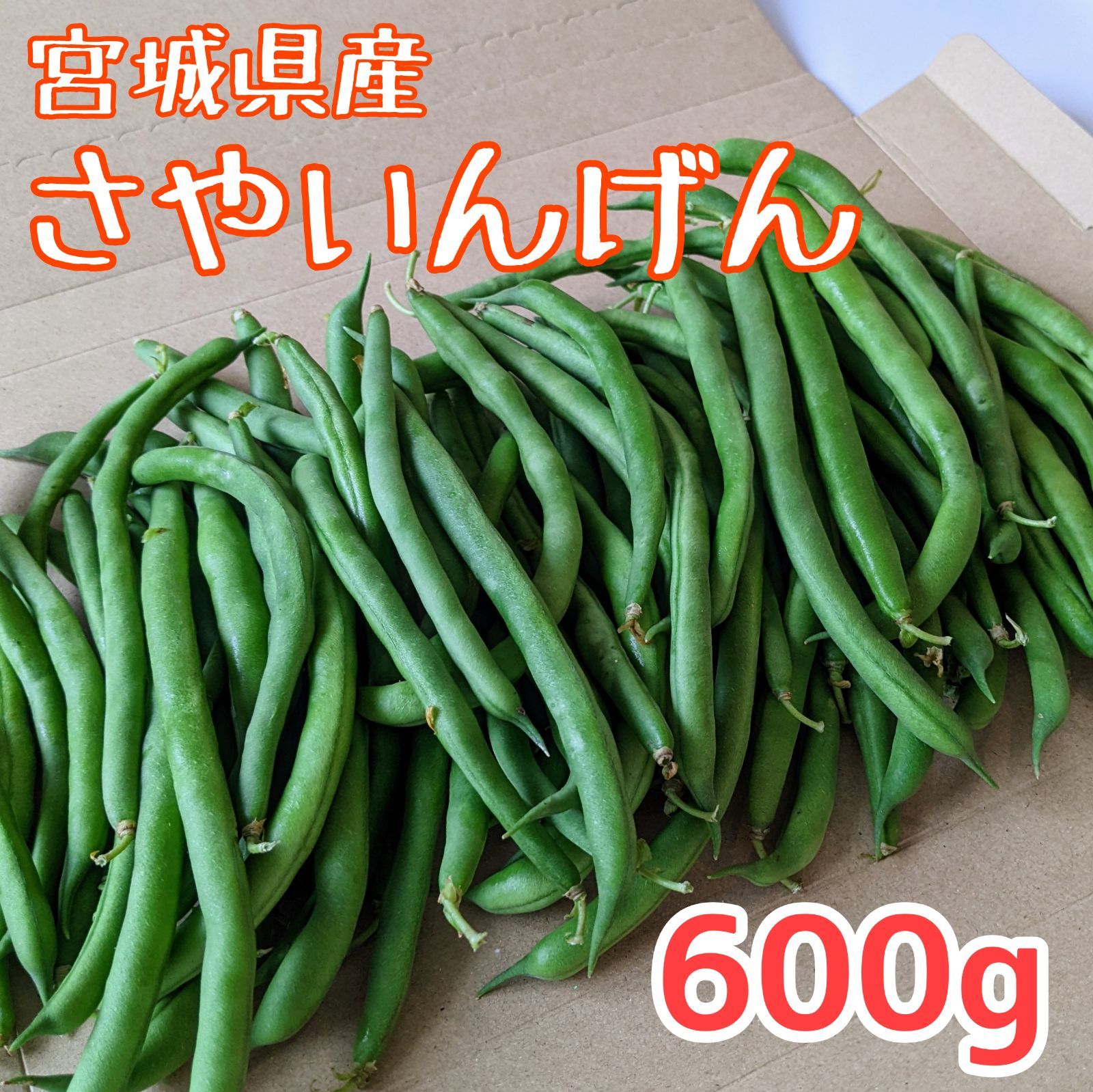 さやいんげん 600g 宮城県産 ネコポス 発送 - メルカリ