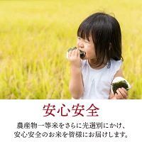 新米 単一原料米