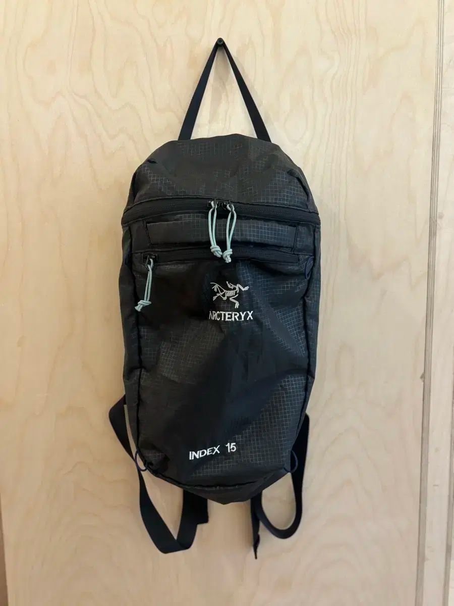 ARC TERYX アークテリクス インデックス 15