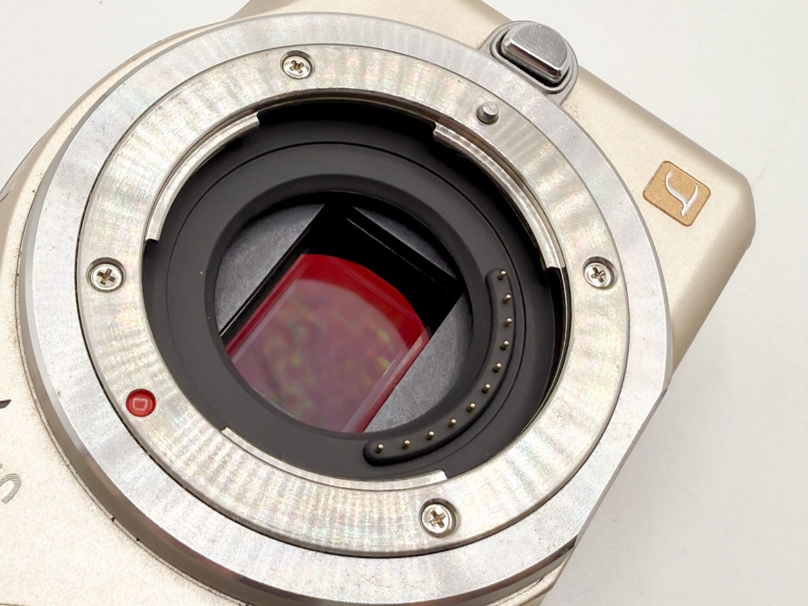 Panasonic LUMIX DMC-GF5 バッテリー＆14-42mmレンズセット