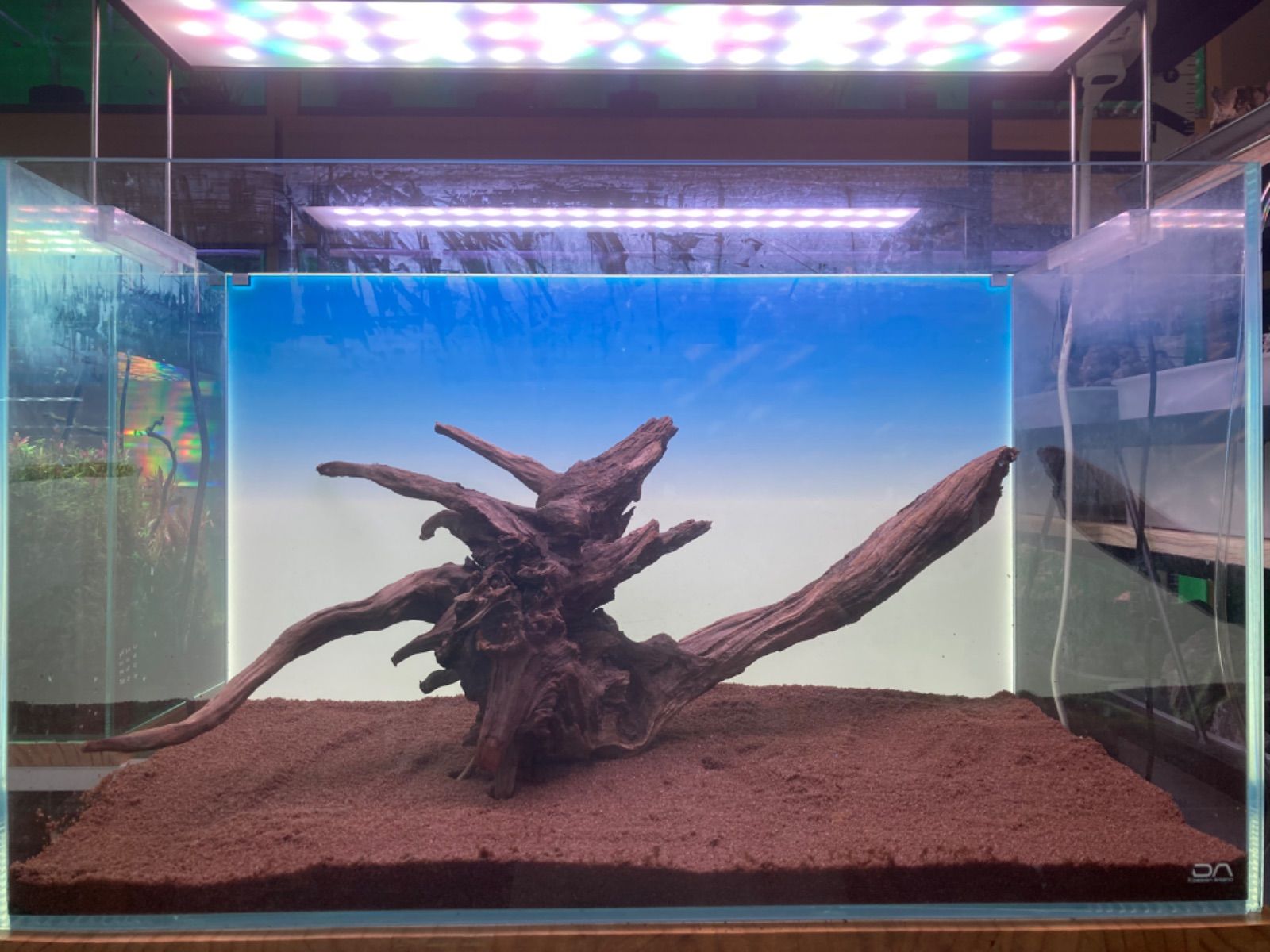 ホーンウッド系流木【セレクト】01 - メルカリ