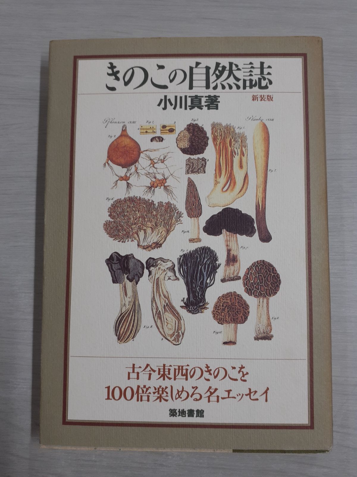 きのこの自然誌
