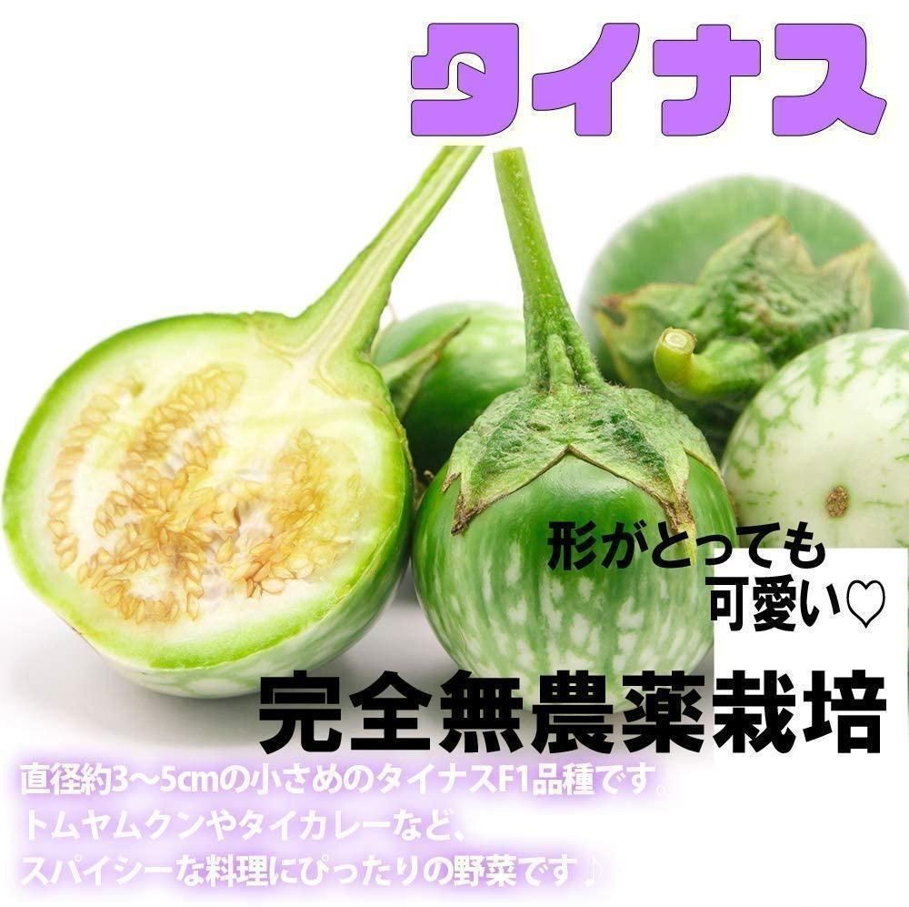 タイナス タイ茄子 マクアポ タイ丸なす 1.2kg以上 完全無農薬 タイナス タイ茄子 マクアポ タイ丸なす 1.2kg以上 完全無農薬