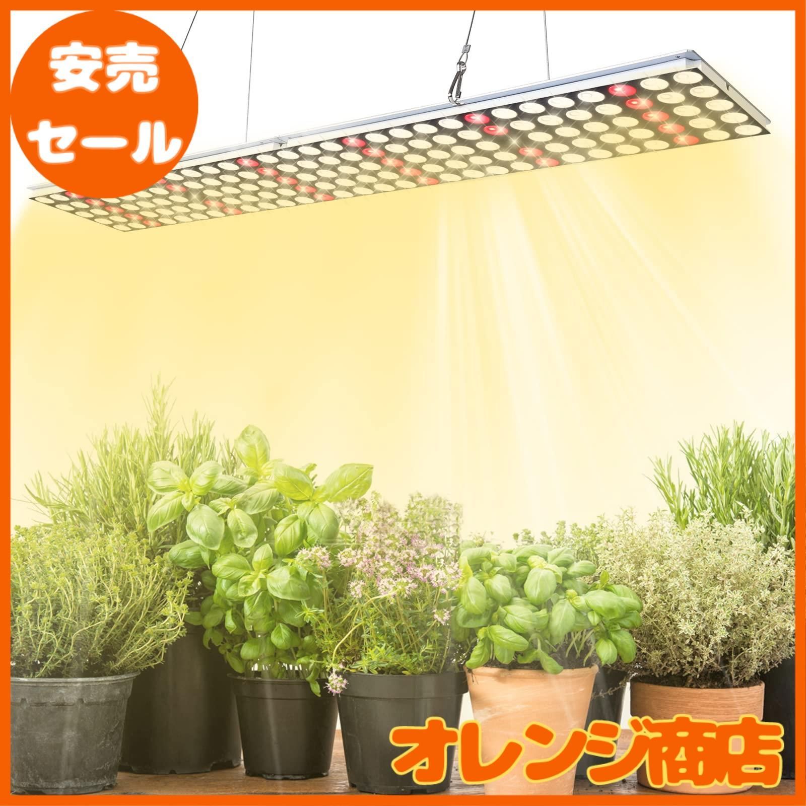 に*吉様 遺品整理 金 豚型チャーム