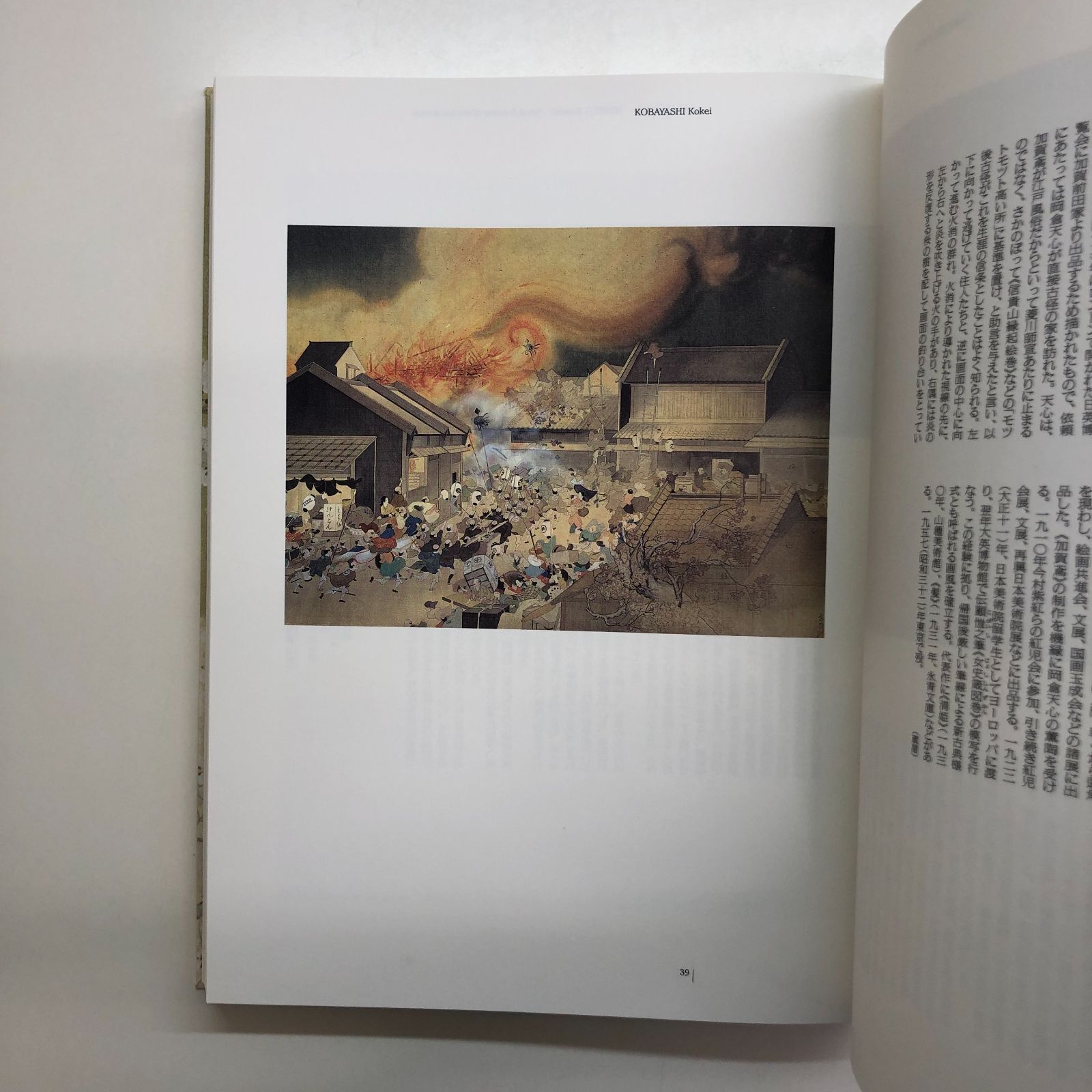 図録 日本画の100年 東京国立近代美術館/東京藝術大学の所蔵品を
