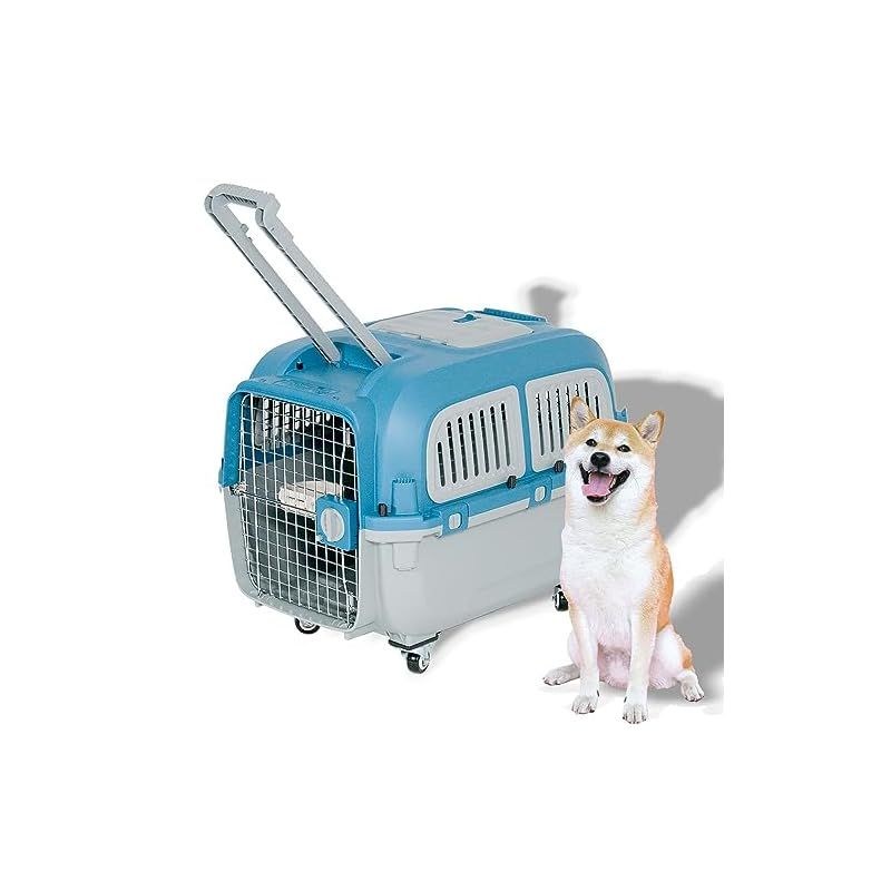 プチリュバン IATA基準クリア ペットキャリーバッグ 天井トビラ付き ハンドル付き PM70 LL 外寸 横55×高さ49×奥行71.5cm 小 中型犬用 1