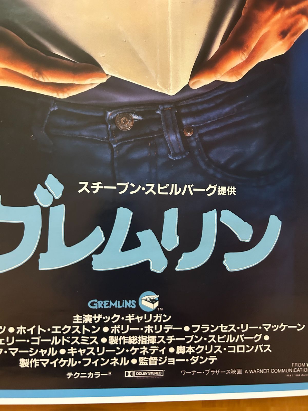Apartheid/ウィレム/ポスター Wild Plakken, Lies Ros, Rob Schroder. Women Against