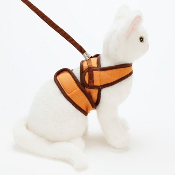 新政 陽乃鳥・ 小布施 ソガペールエフィス リアサケナチュレ天神原】