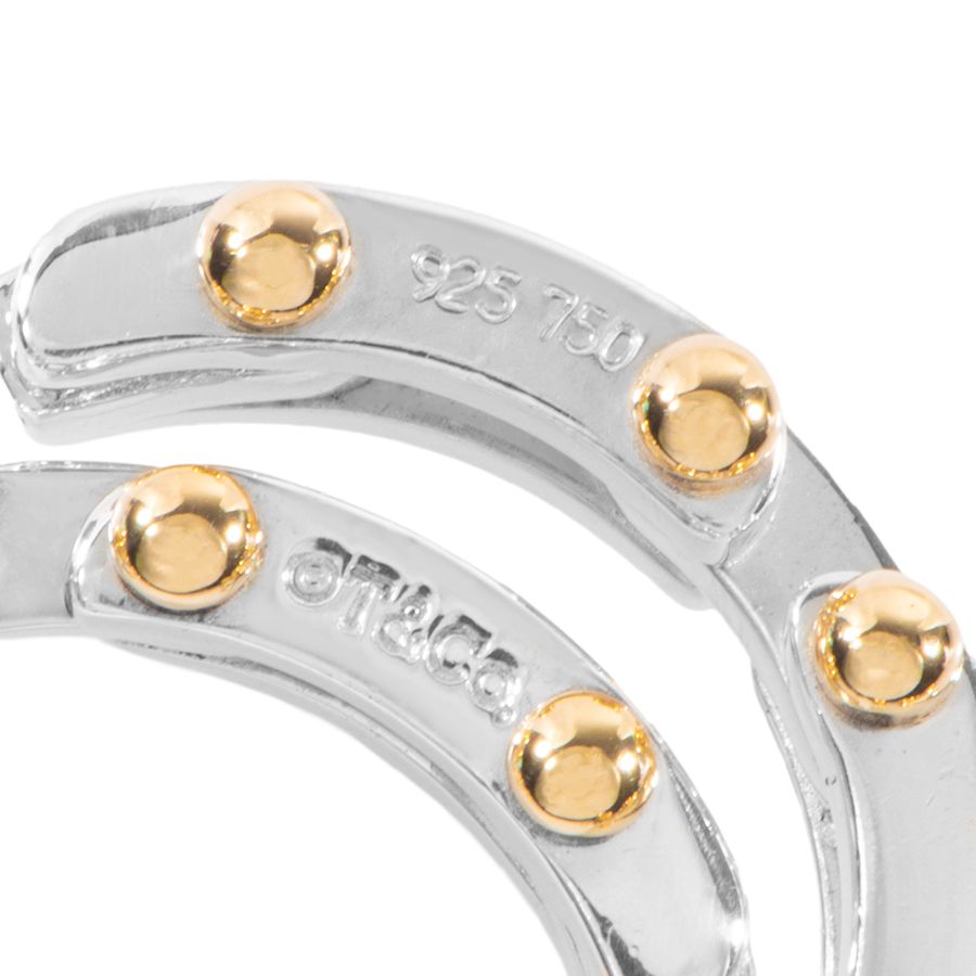 Tiffany & Co. ゲートリンク　フープピアス TIFFANY&Co. ティファニー ゲート リンク フープ ピアス
