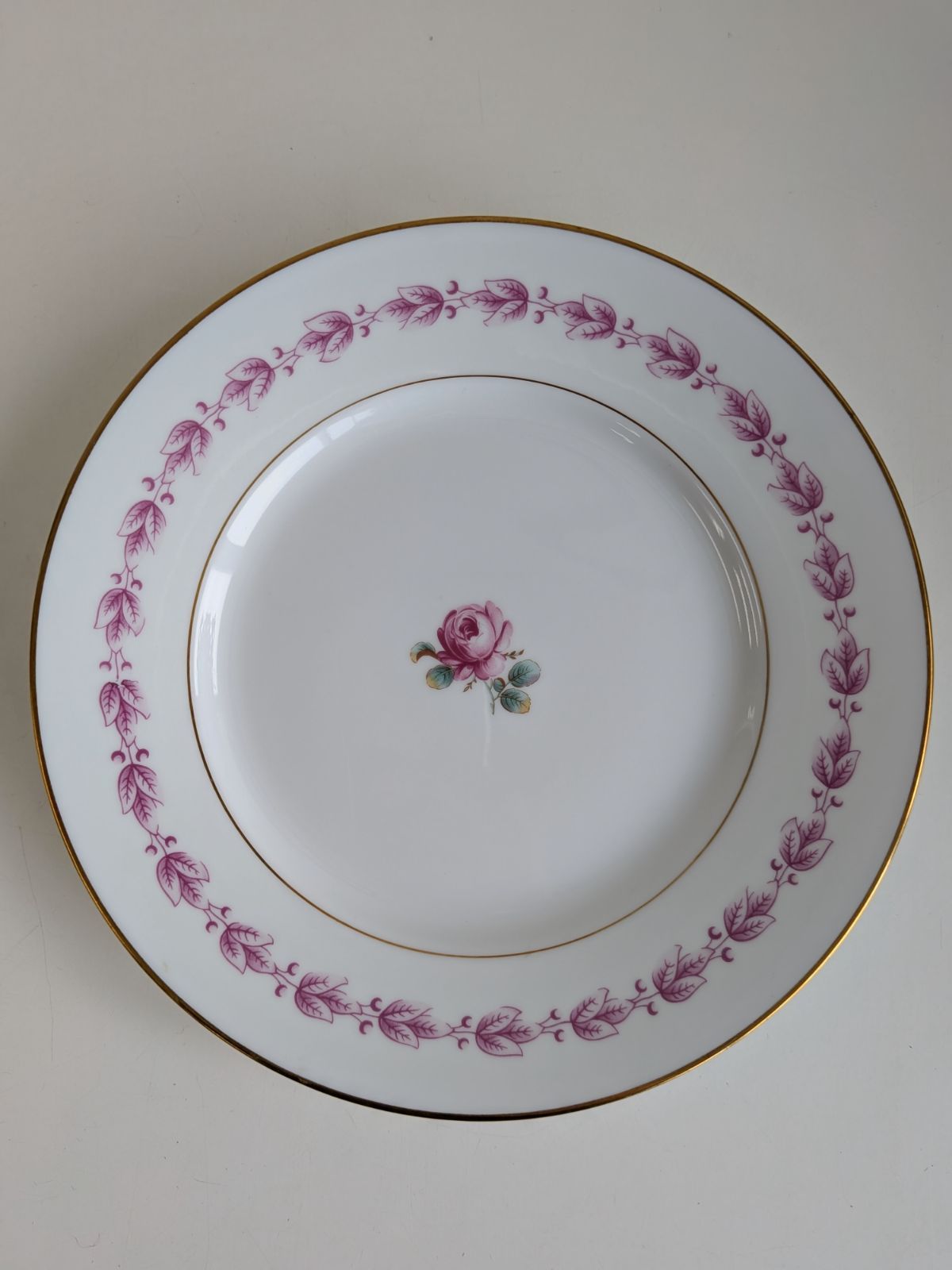 美品】Richard Ginori インペロカメリア プレート 2枚セット 直径19.5