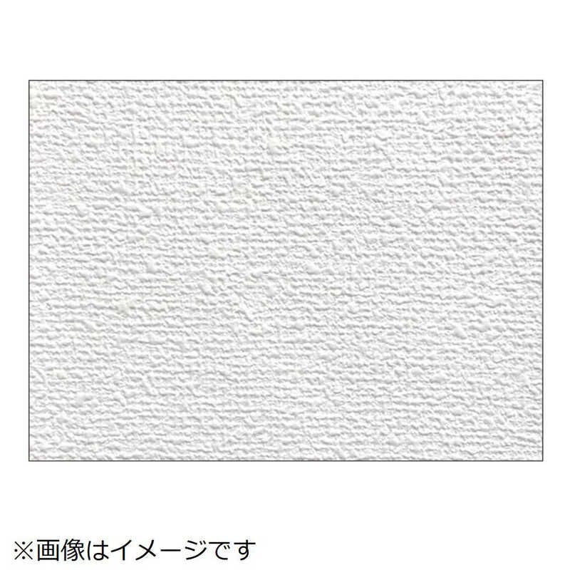 アサヒペン AP 簡単スーパー生のりカベ紙 RKN21