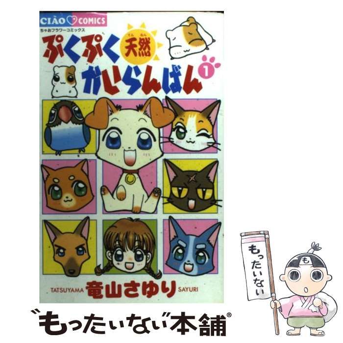 ちゃおコミックス　ぷくぷく天然かいらんばん 10 初版第一刷　竜山さゆり ちゃおコミックス ぷくぷく天然かいらんばん 10 初版第一刷 竜山
