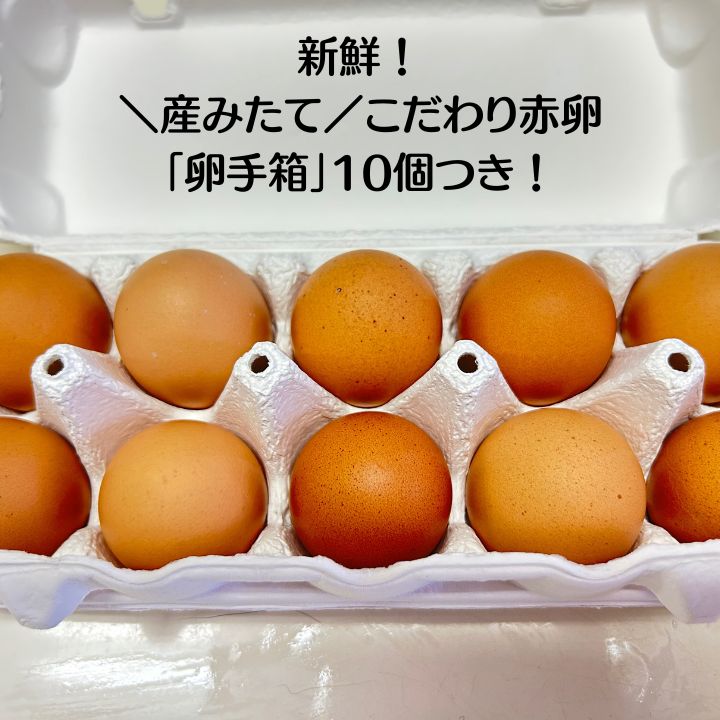 広島県産野菜詰合せ 産みたて赤卵10個つき - メルカリ